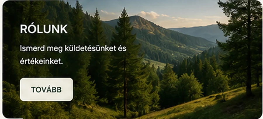 Székelyföldi táj